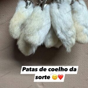 Pata de Coelho