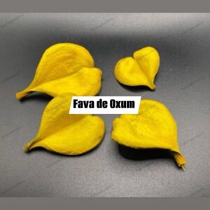 Fava de Oxum