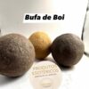 Bufa de Boi