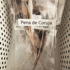 Pena Coruja
