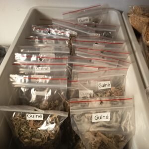 Guine 50g